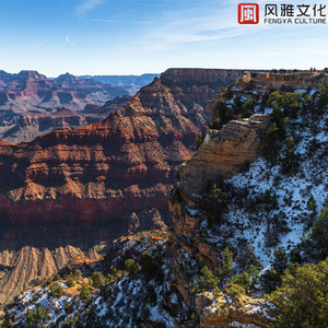 极品少萝裸18禁🈲自慰动漫
